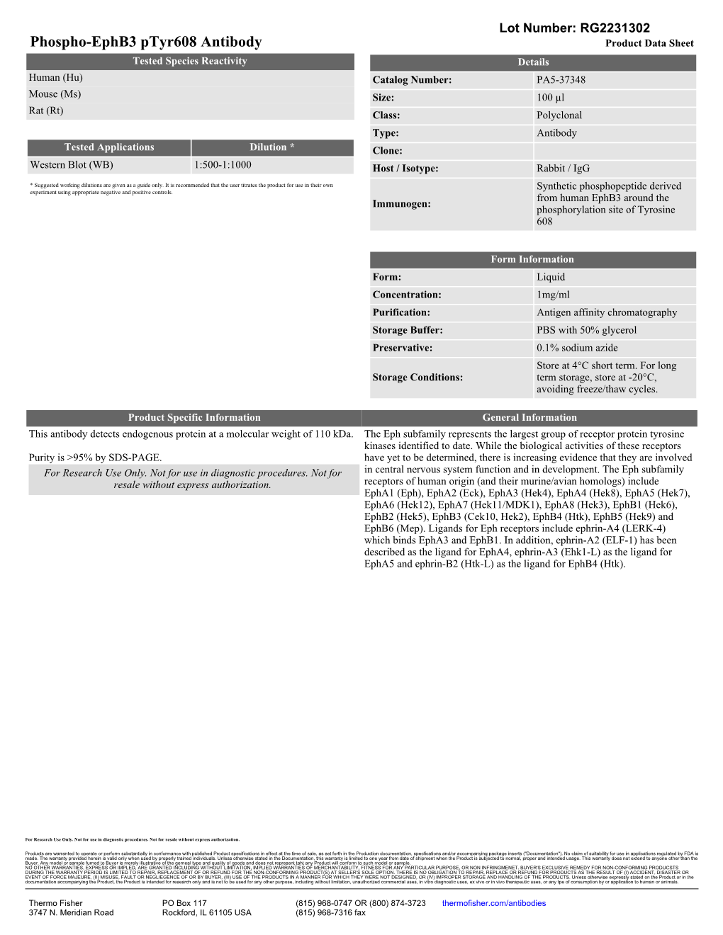 Phospho-Ephb3 Ptyr608 Antibody