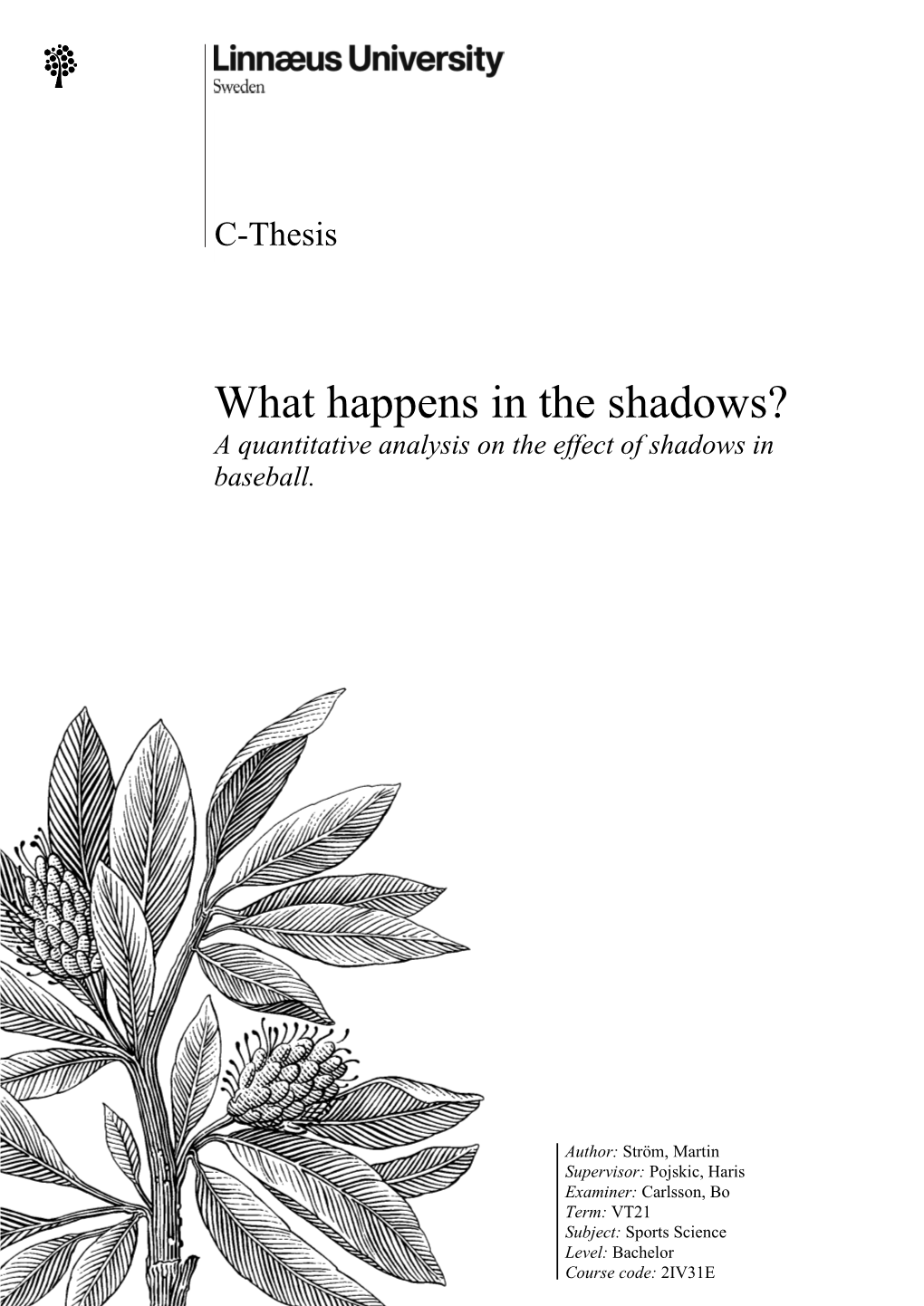 What Happens in the Shadows? a Quantitative Analysis on the Effect of Shadows in Baseball