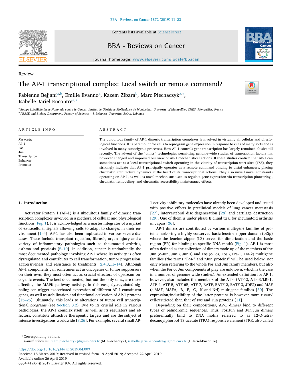 The AP-1 Transcriptional Complex Local Switch Or Remote Command?