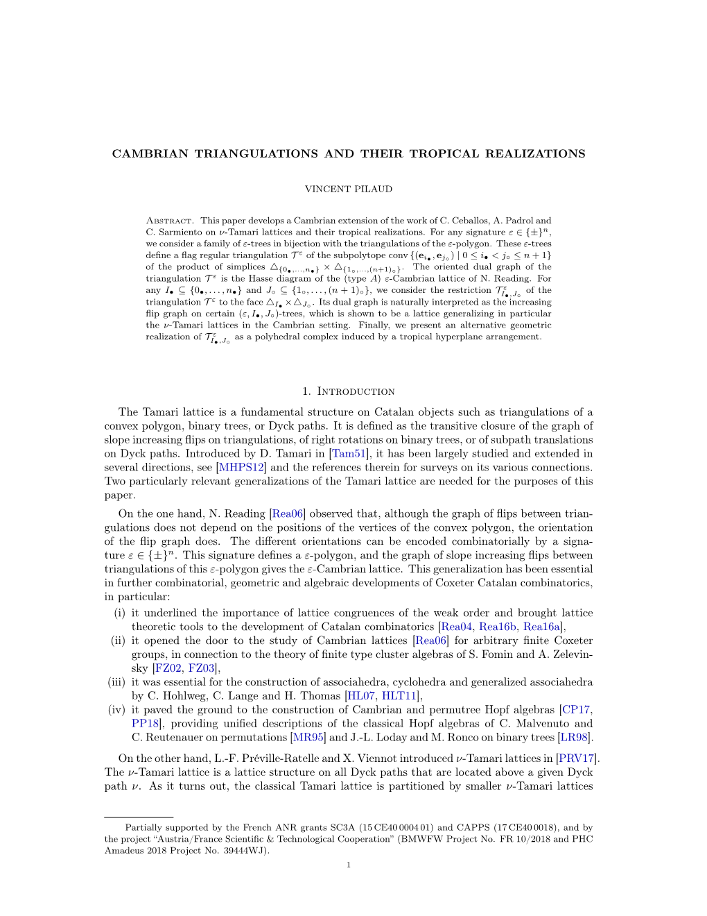 Cambrian Triangulations and Their Tropical Realizations