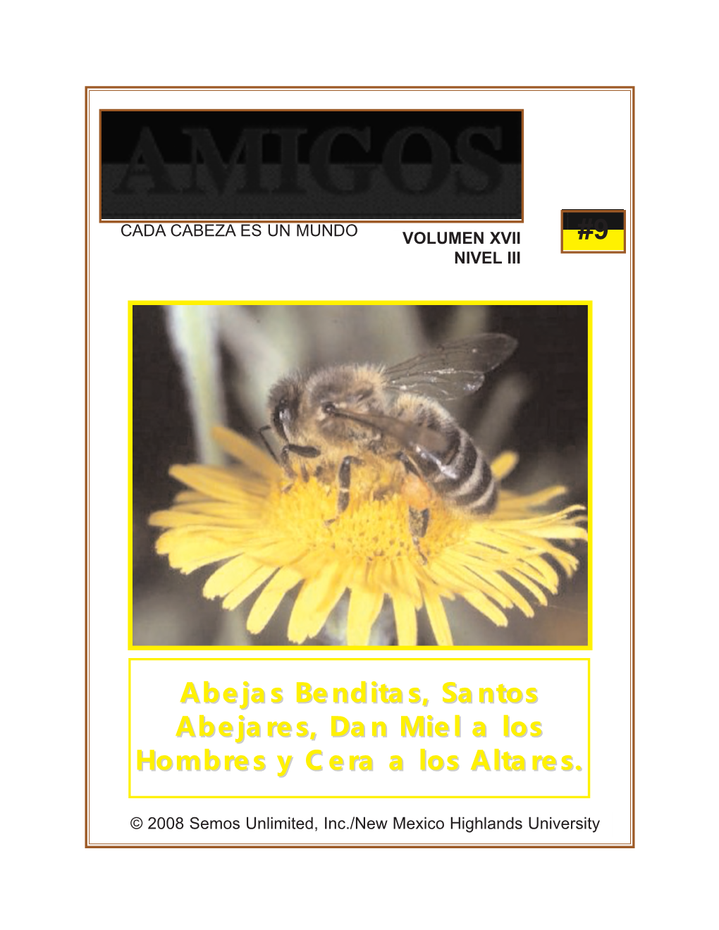 Revista Digital AMIGOS