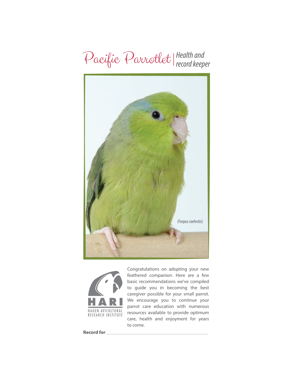 Pacific Parrotlet Health