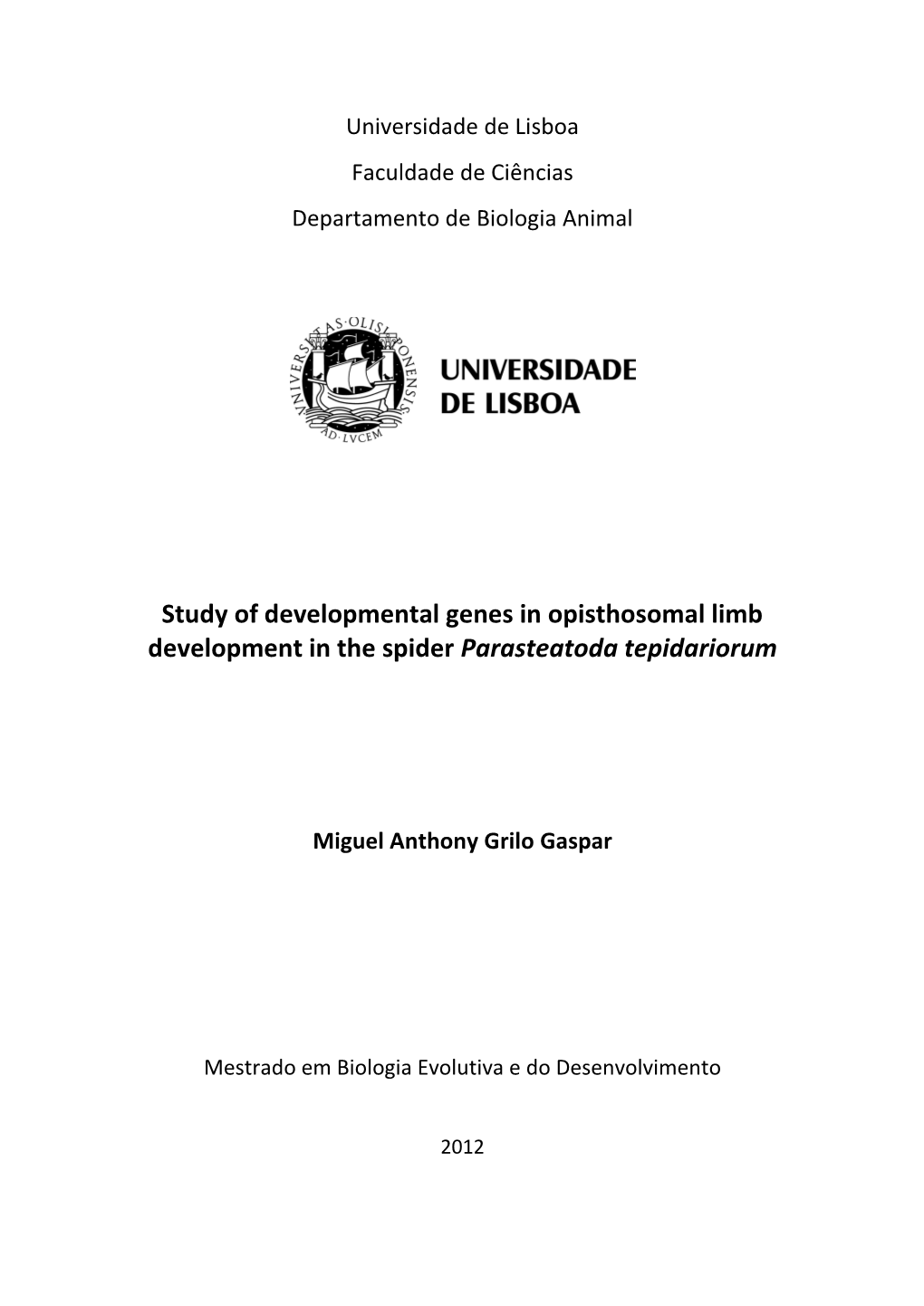 Study of Developmental Genes in Opisthosomal Limb Development in the Spider Parasteatoda Tepidariorum