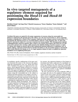 In Vivo Targeted Mutagenesis of a Regulatory Element Required for Positioning the Hoxd-11 and Hoxd-Lo Expression Boundaries