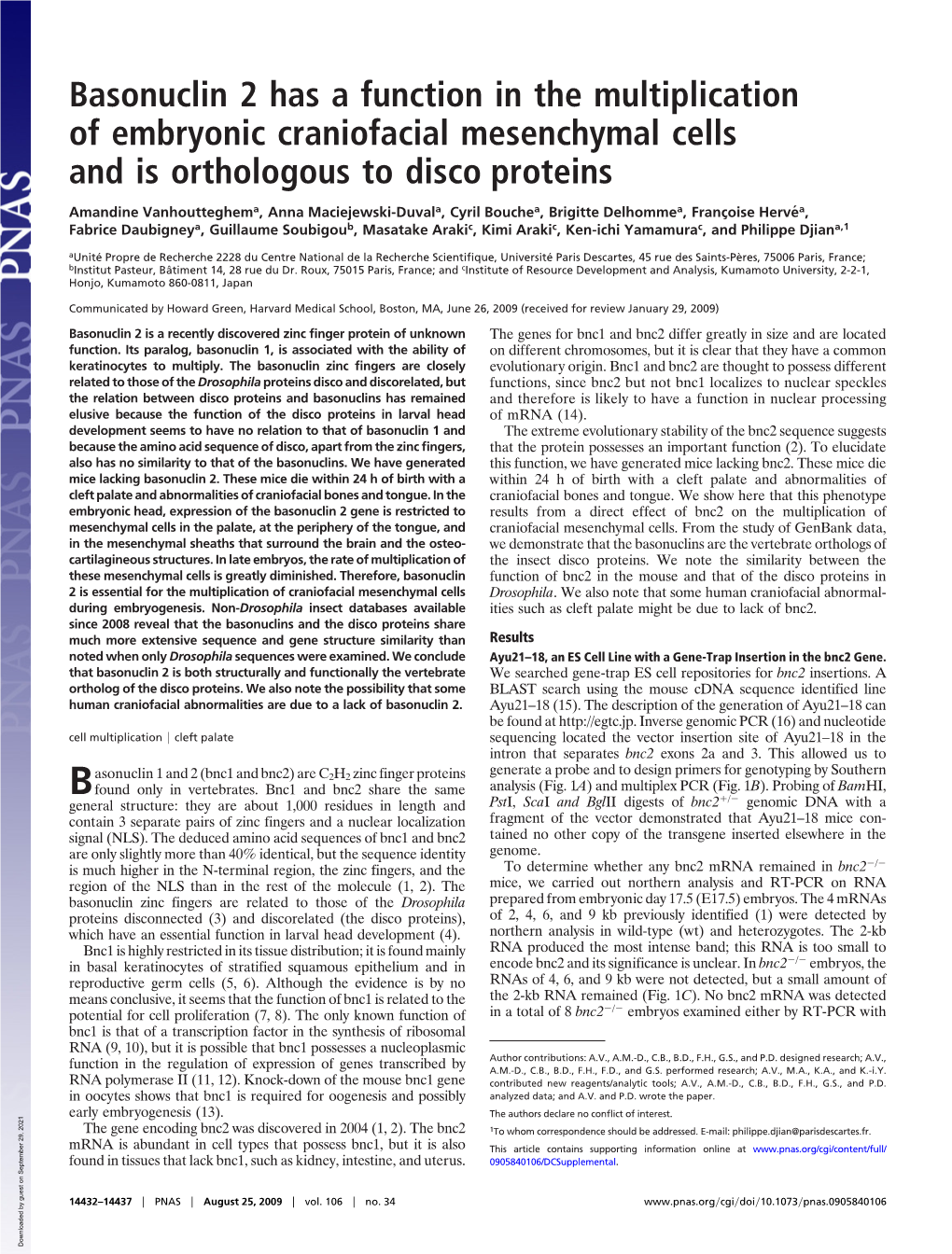 Basonuclin 2 Has a Function in the Multiplication of Embryonic Craniofacial Mesenchymal Cells and Is Orthologous to Disco Proteins