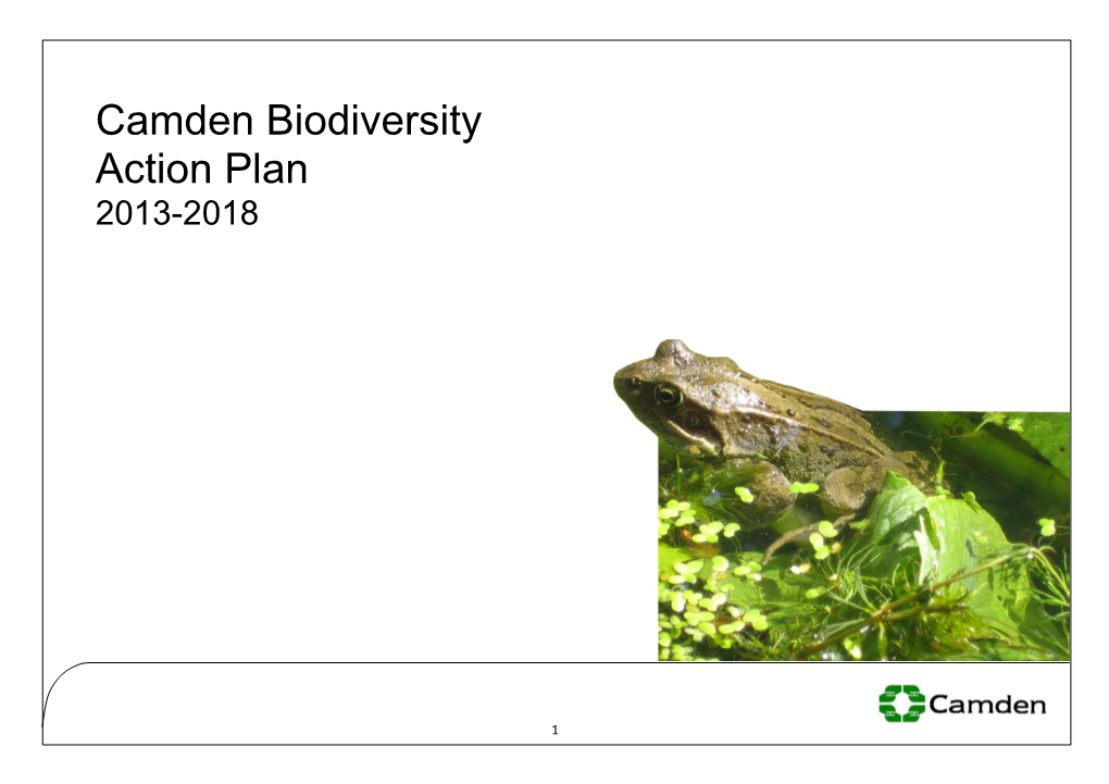 Camden Biodiversity Action Plan 2013-2018