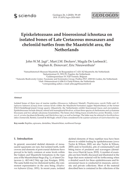 Episkeletozoans and Bioerosional Ichnotaxa on Isolated Bones of Late Cretaceous Mosasaurs