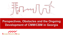Perspectives, Obstacles and the Ongoing Development of CMM/CBM in Georgia Frameworks for Cooperation COMPANY PROFILE COMPANY PROFILE GIG Group and Its Subsidiaries