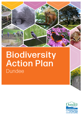 Biodiversity Action Plan Dundee
