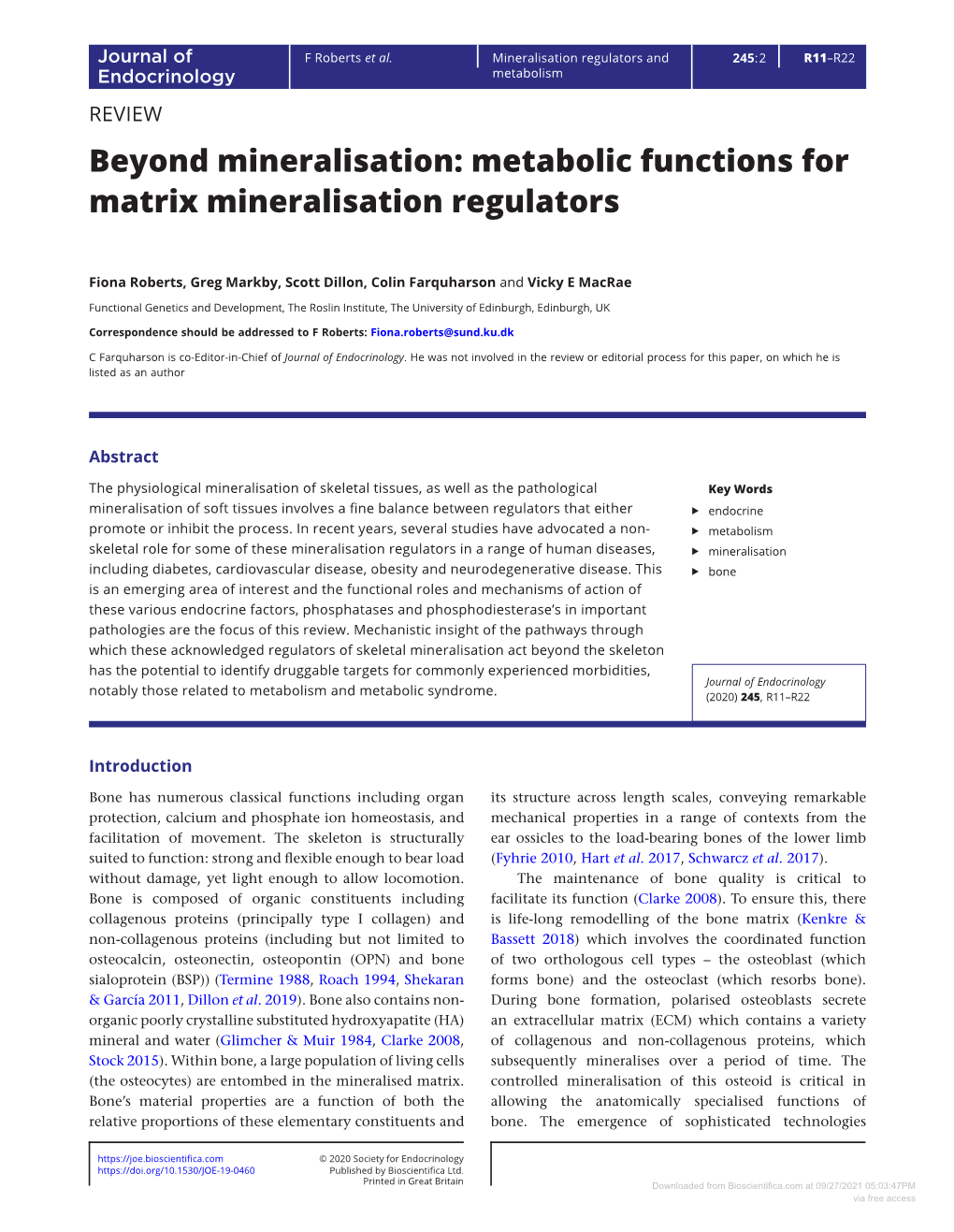 Beyond Mineralisation: Metabolic Functions for Matrix Mineralisation Regulators