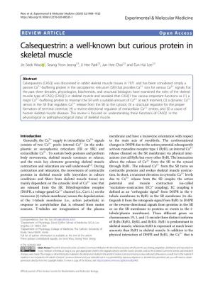 Calsequestrin: a Well-Known but Curious Protein in Skeletal Muscle Jin Seok Woo 1, Seung Yeon Jeong2,3,Jiheepark2,3,Junheechoi2,3 and Eun Hui Lee2,3