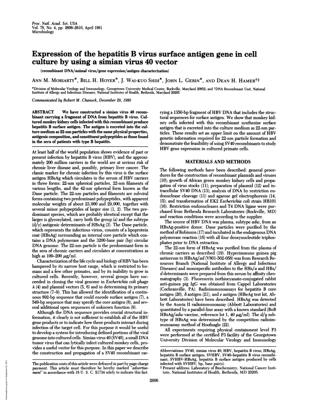 Expression of the Hepatitis B Virus Surface Antigen Gene in Cell