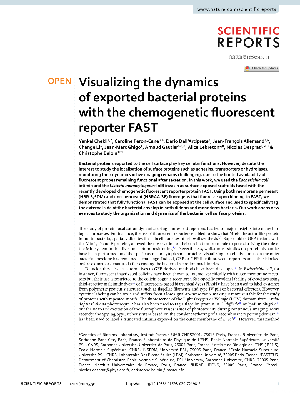 Visualizing the Dynamics of Exported Bacterial Proteins with The