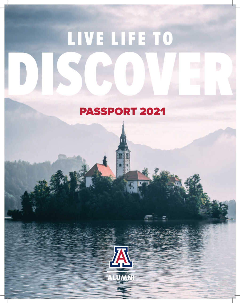 2021 Travel Passport Here