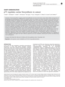 P73 Regulates Serine Biosynthesis in Cancer