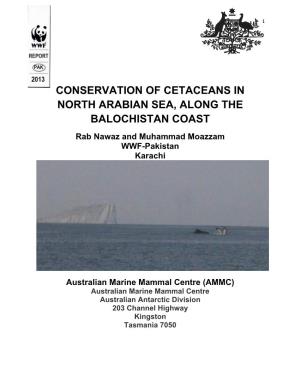 CONSERVATION of CETACEANS in NORTH ARABIAN SEA, ALONG the BALOCHISTAN COAST Rab Nawaz and Muhammad Moazzam WWF-Pakistan Karachi