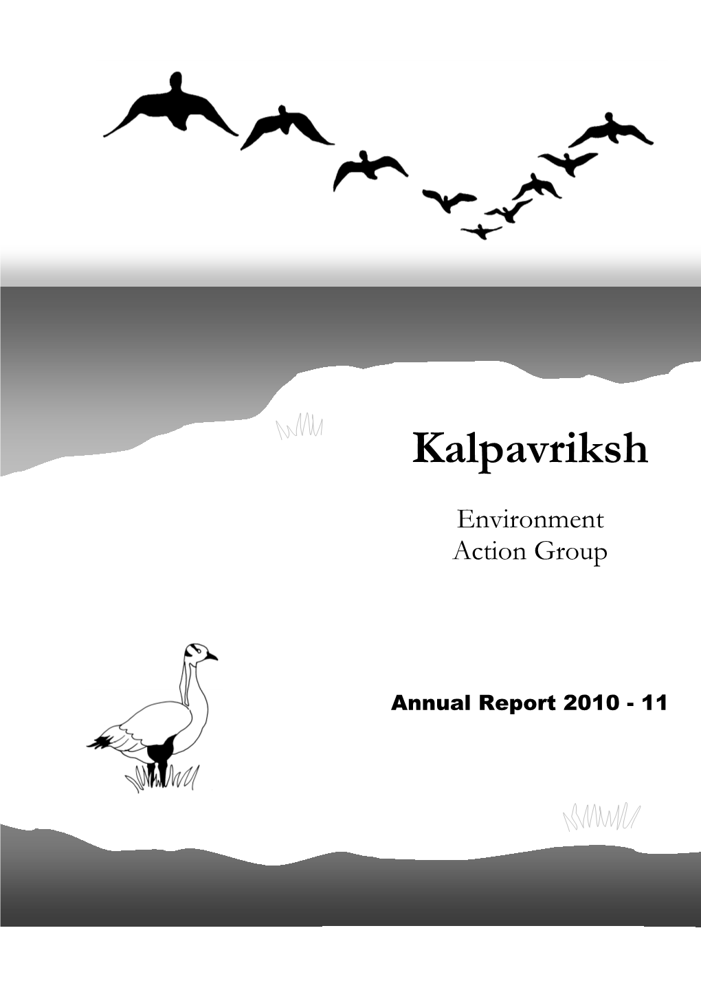 Annual Report 2010-2011