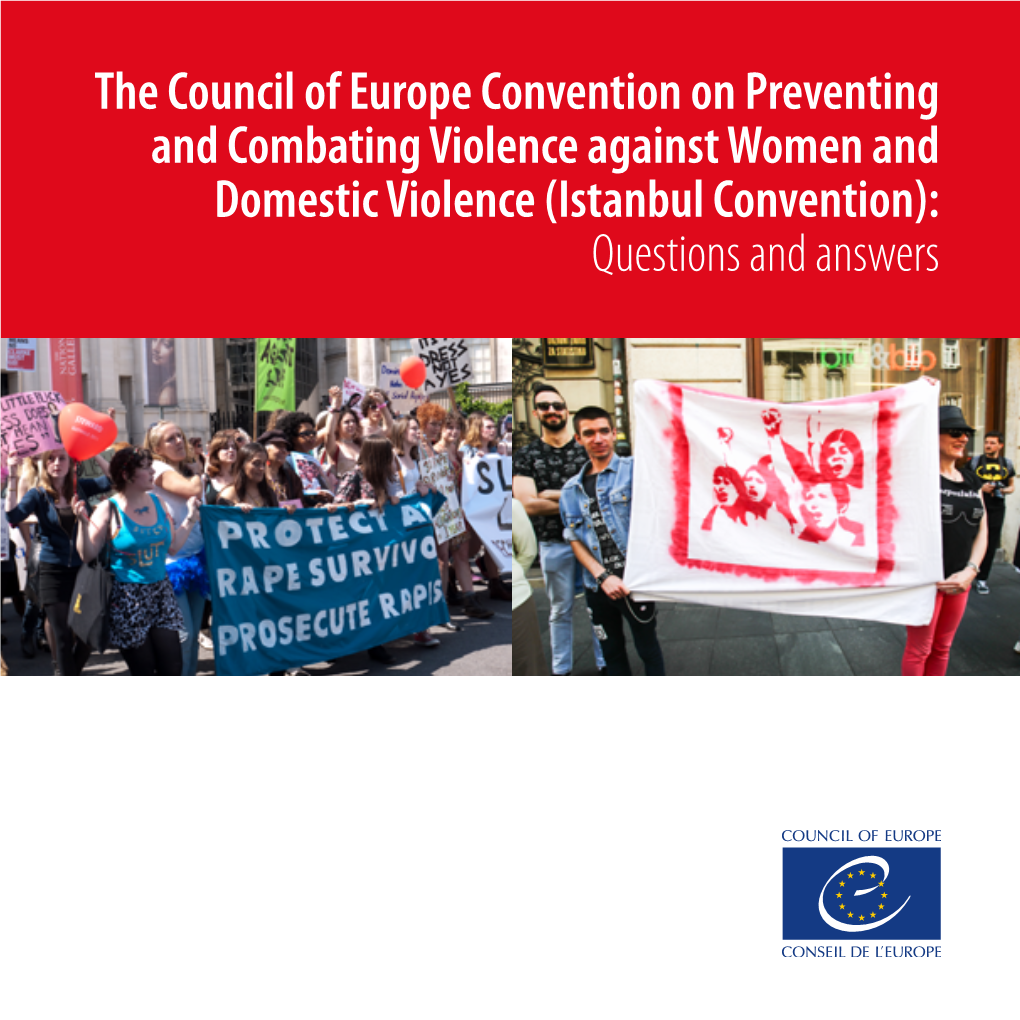 The Council Of Europe Convention On Preventing And Combating Violence