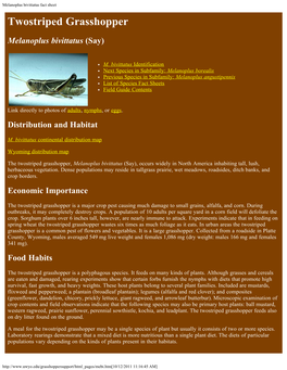Melanoplus Bivittatus Fact Sheet Twostriped Grasshopper