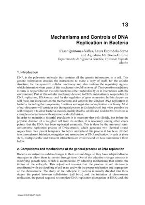 Mechanisms and Controls of DNA Replication in Bacteria