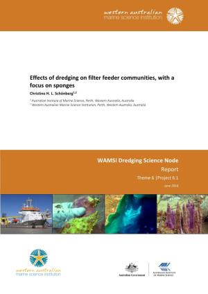 Effects of Dredging on Filter Feeder Communities, with a Focus on Sponges Christine H