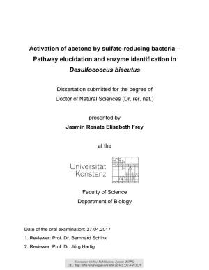 Activation of Acetone by Sulfate-Reducing Bacteria – Pathway Elucidation and Enzyme Identification in Desulfococcus Biacutus