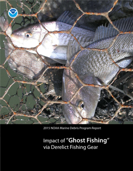 Impact of “Ghost Fishing“ Via Derelict Fishing Gear