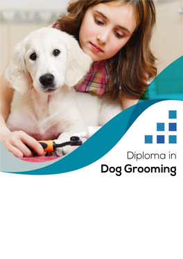 Diploma in Dog Grooming