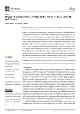 Quercus Conservation Genetics and Genomics: Past, Present, and Future