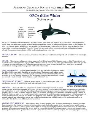 Killer Whale) Orcinus Orca
