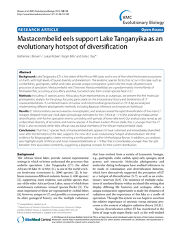 Mastacembelid Eels Support Lake Tanganyika As an Evolutionary