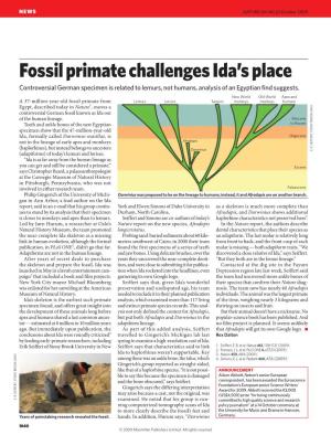 Fossil Primate Challenges Ida's Place
