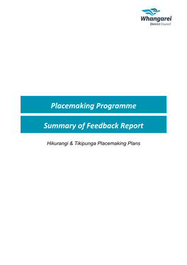 Placemaking Programme Summary of Feedback Report