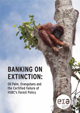 BANKING on EXTINCTION: Oil Palm, Orangutans and the Certified Failure of HSBC's Forest Policy ACKNOWLEDGEMENTS
