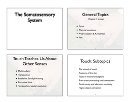 The Somatosensory System