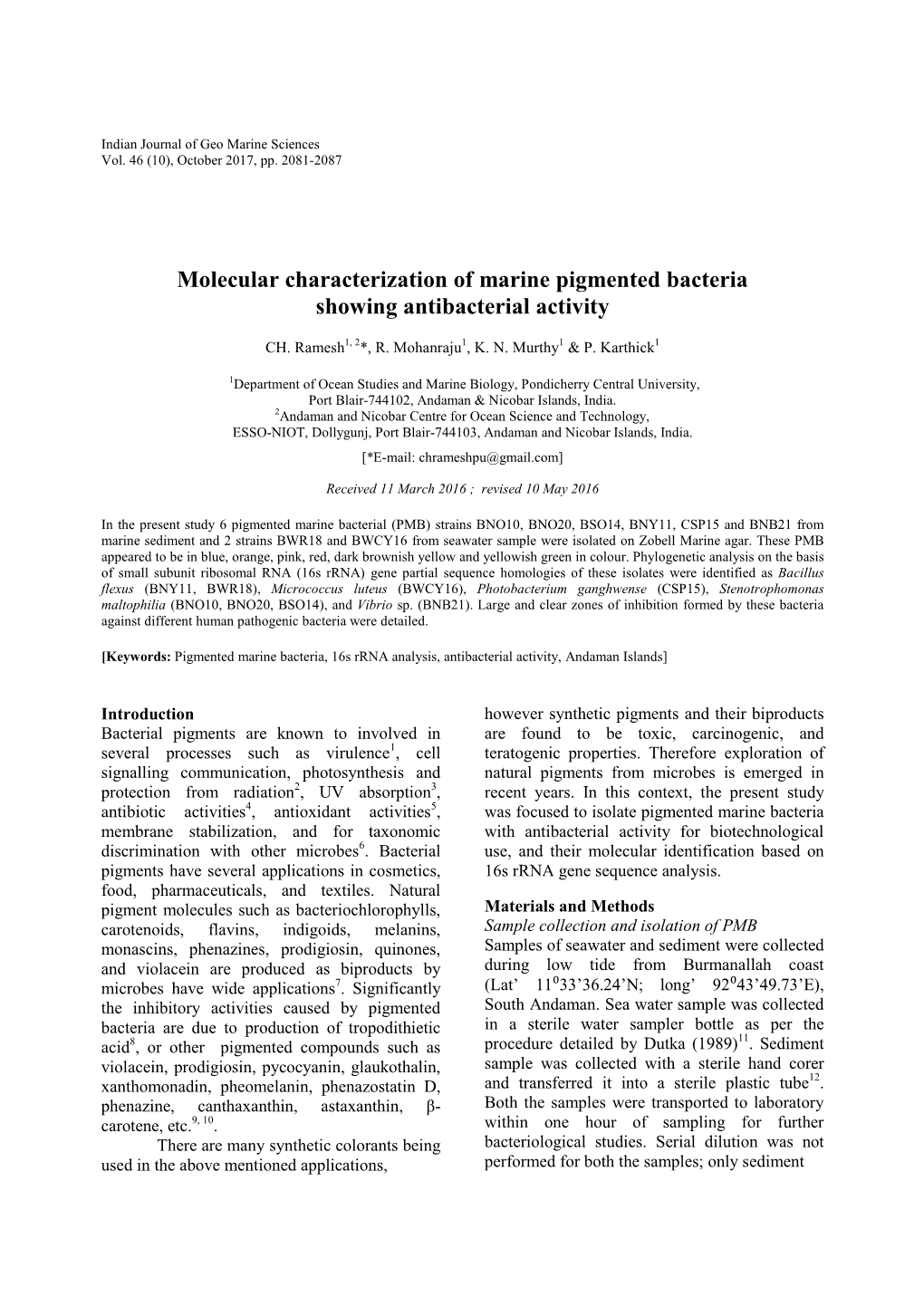 Molecular Characterization of Marine Pigmented Bacteria Showing Antibacterial Activity