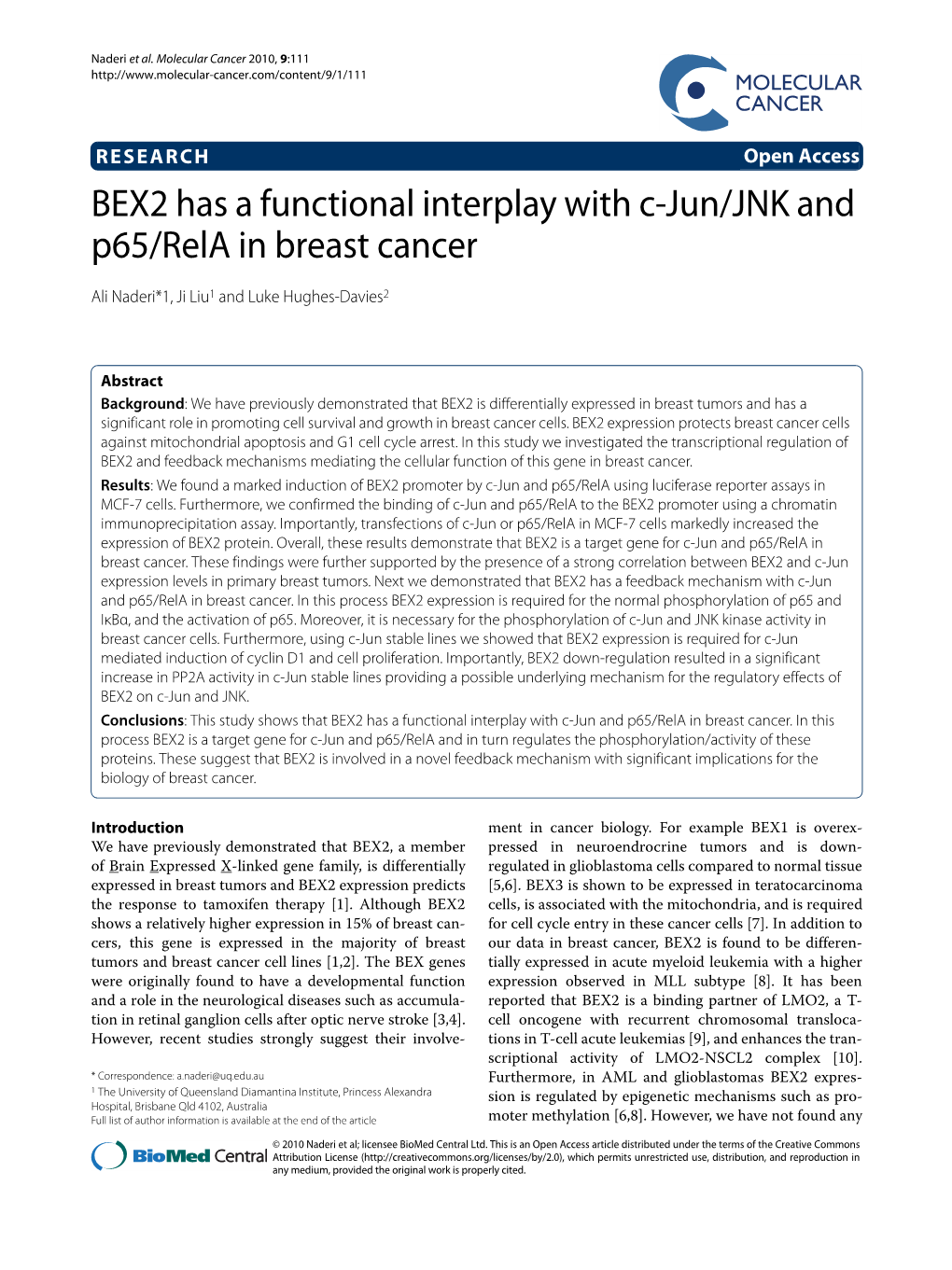 BEX2 Has a Functional Interplay with C-Jun/JNK and P65