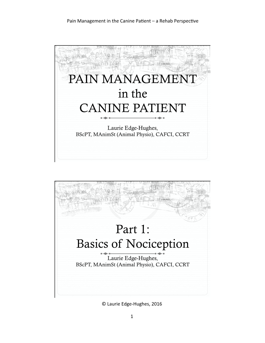 Basics of Nociception.Pptx