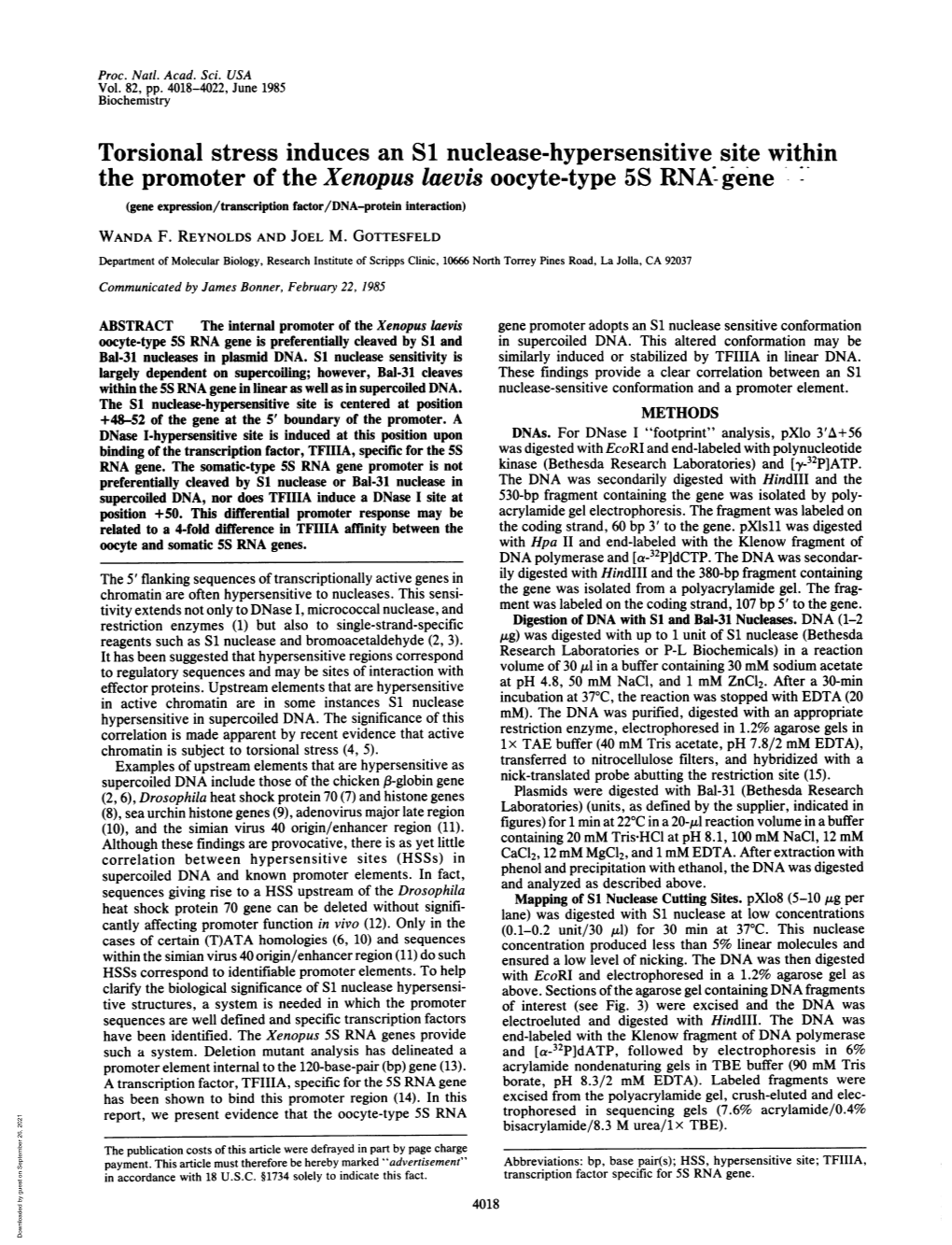 Torsional Stress Induces an S1 Nuclease-Hypersensitive Site Within