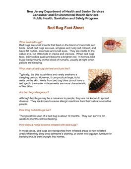 Bed Bug Fact Sheet