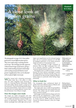 A Close Look at Pollen Grains Duncan Shaw/SPL