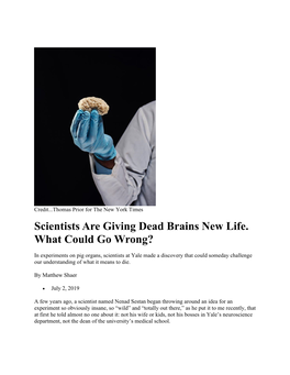 Scientists Are Giving Dead Brains New Life. What Could Go Wrong?