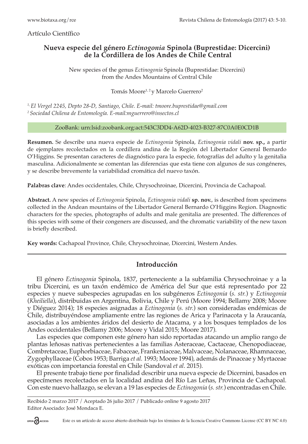 Nueva Especie Del Género Ectinogonia Spinola (Buprestidae: Dicercini) De La Cordillera De Los Andes De Chile Central