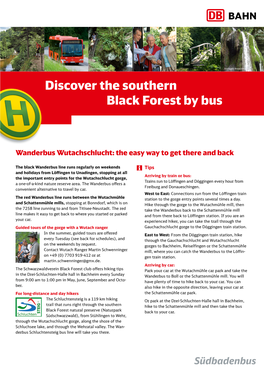 Discover the Southern Black Forest by Bus
