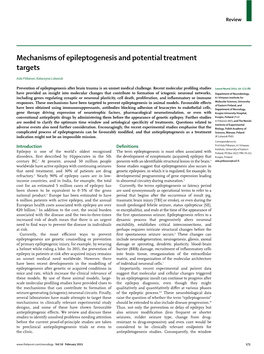 Mechanisms of Epileptogenesis and Potential Treatment Targets