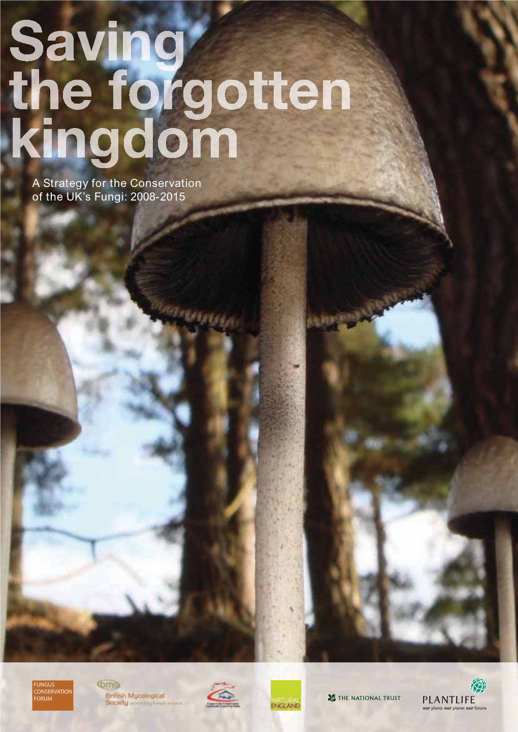 A Strategy for the Conservation of the UK's Fungi: 2008-2015