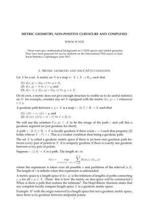 Metric Geometry, Non-Positive Curvature and Complexes