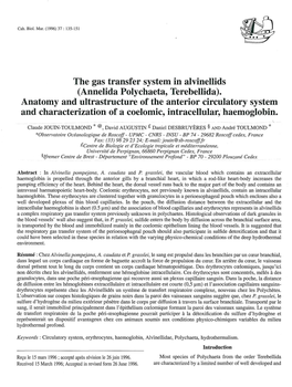 The Gas Transfer System in Alvinellids (Annelida Polychaeta, Terebellida)