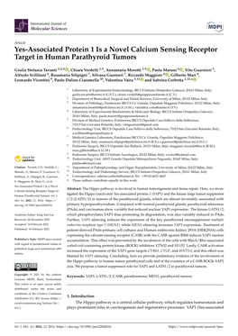 Yes-Associated Protein 1 Is a Novel Calcium Sensing Receptor Target in Human Parathyroid Tumors