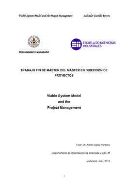 Viable System Model and the Project Management Salvador Castillo Rivera